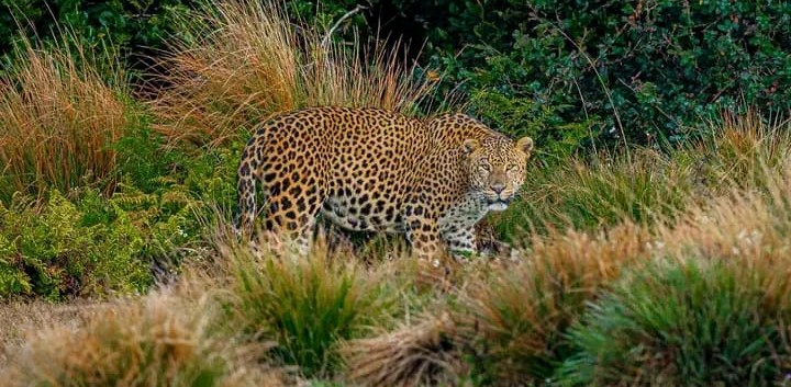 Horton Plains National Park Thumbnail 2