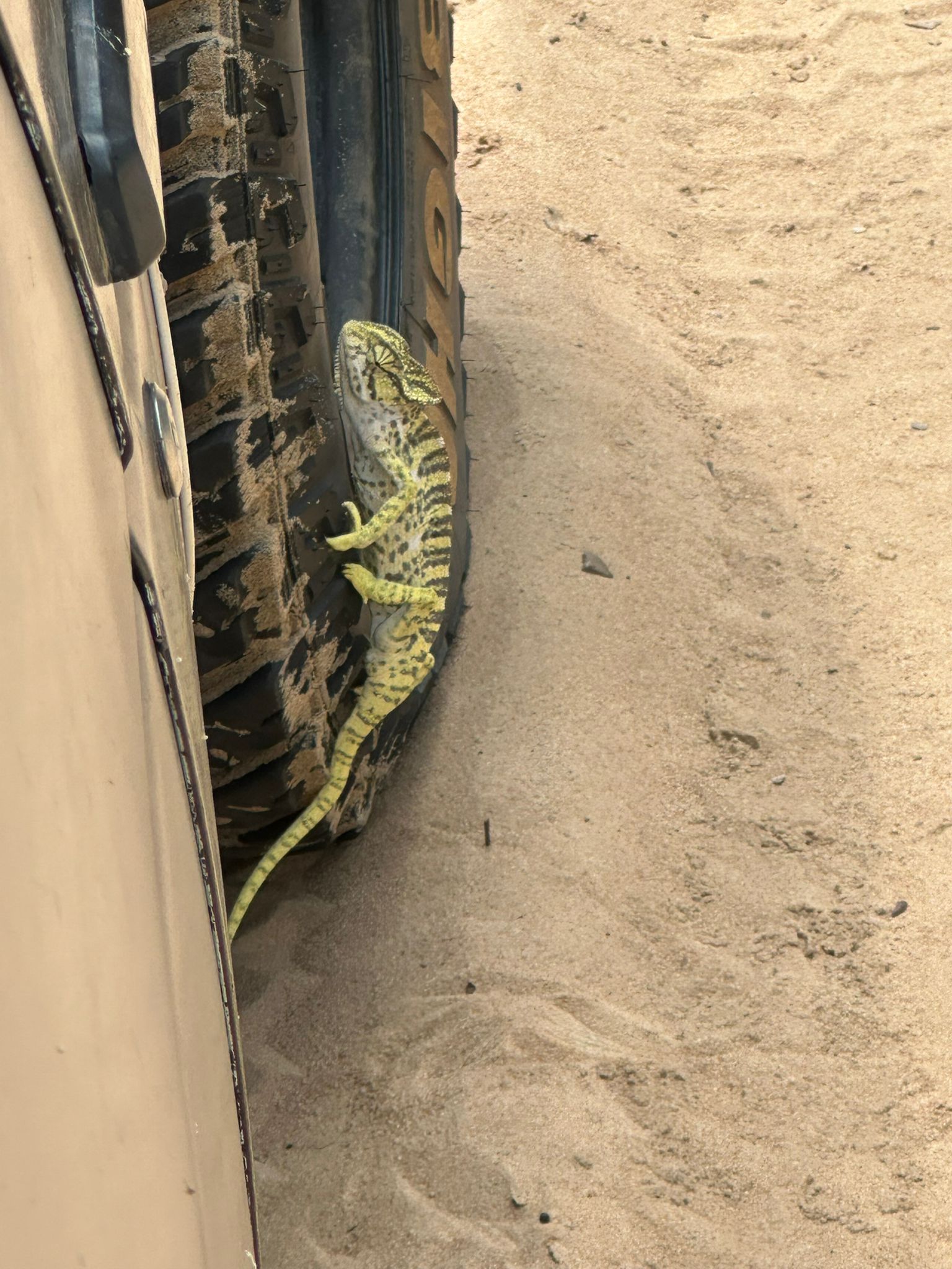 Wilpattu National Park Thumbnail 5