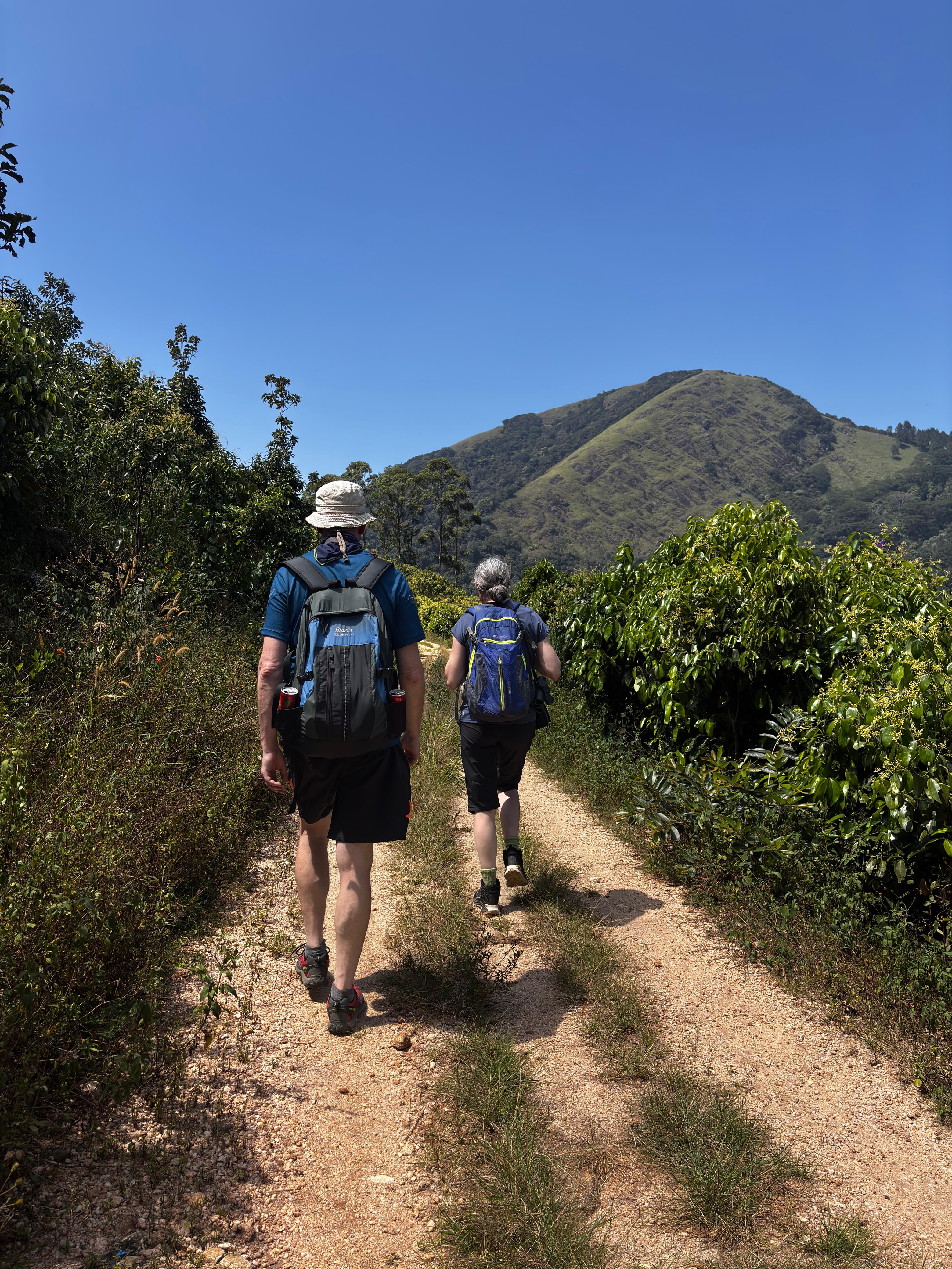 Horton Plains National Park Thumbnail 3